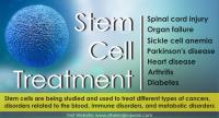 Stem Cell Treatment in India image 1